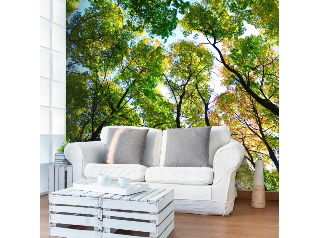 Papier peint regardant les arbres - 400 x 309 cm