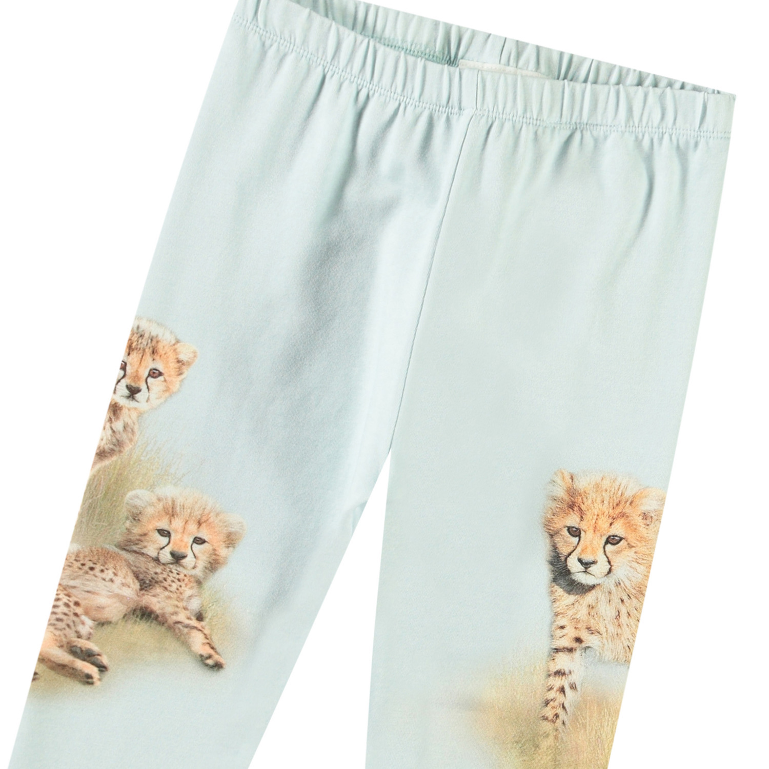 Simway - Cheetas Cute