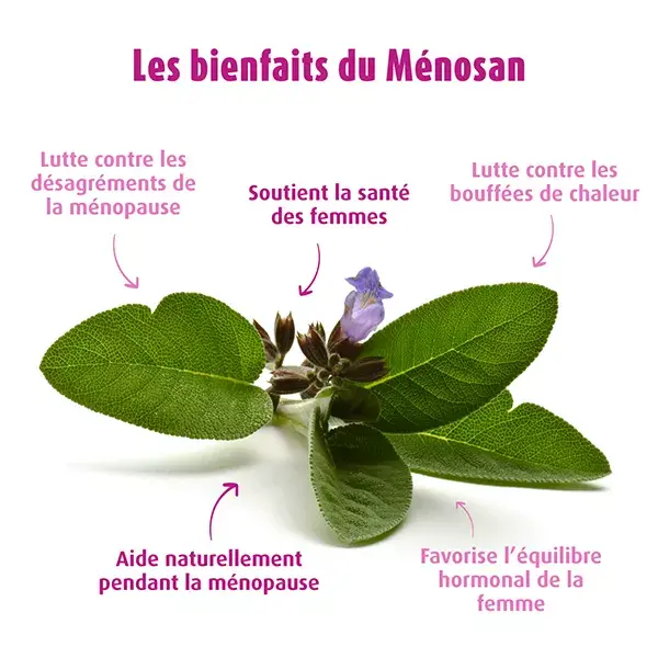 A.Vogel Menosan Menopausa 30 comprimidos