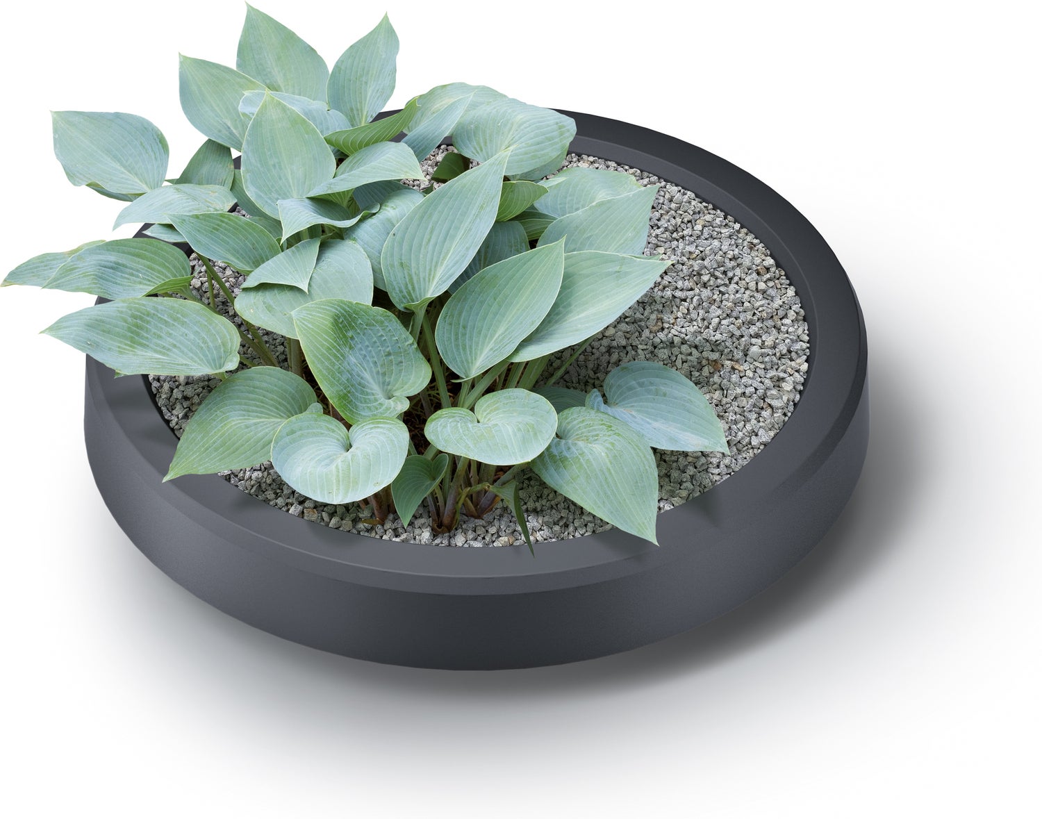 Intratuin regenton met plantenbak Maze antraciet 240 L