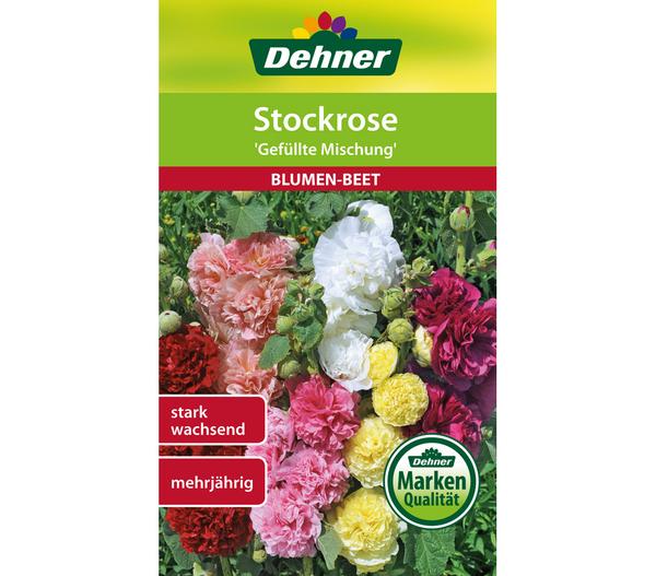 Dehner Samen Stockrose 'Gefüllte Mischung'