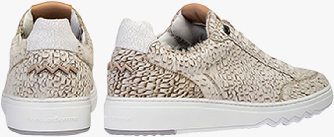 FLORIS VAN BOMMEL taupe floris van bommel lage sneakers sfm-10174