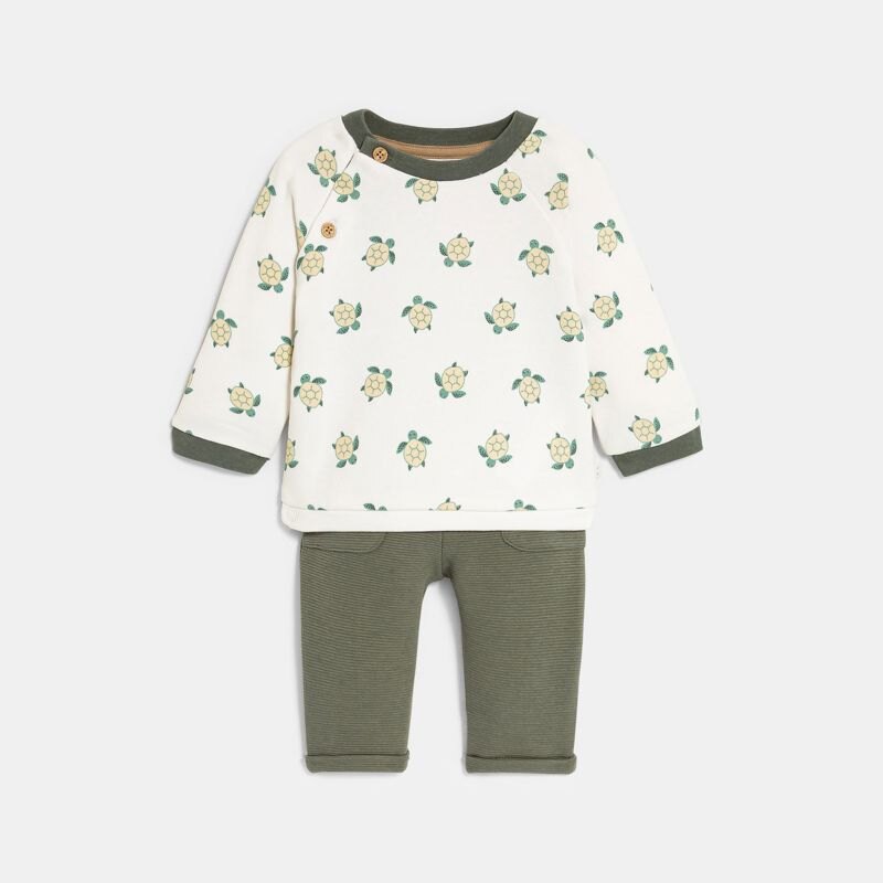 Sweat tortue et pantalon vert bébé garçon Vert