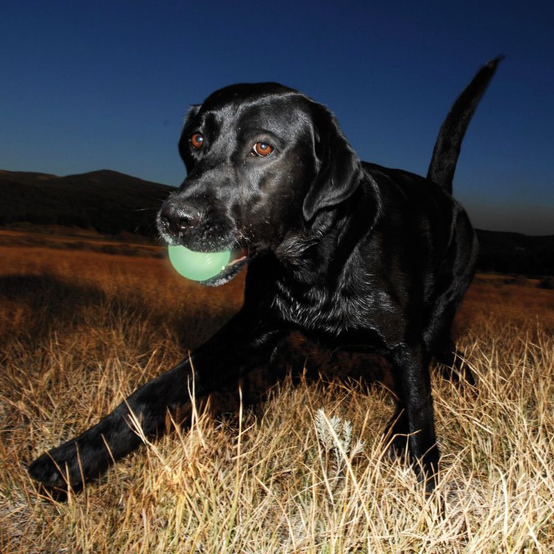 Balle Chuckit! Max Glow