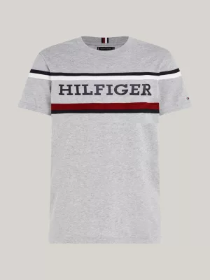 Camiseta Plus Hilfiger Monotype Global Stripe