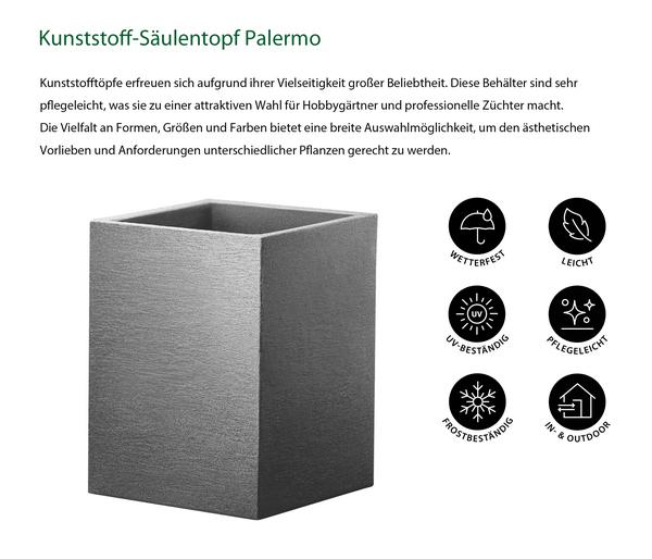 Dehner Kunststoff-Säulentopf Palermo,