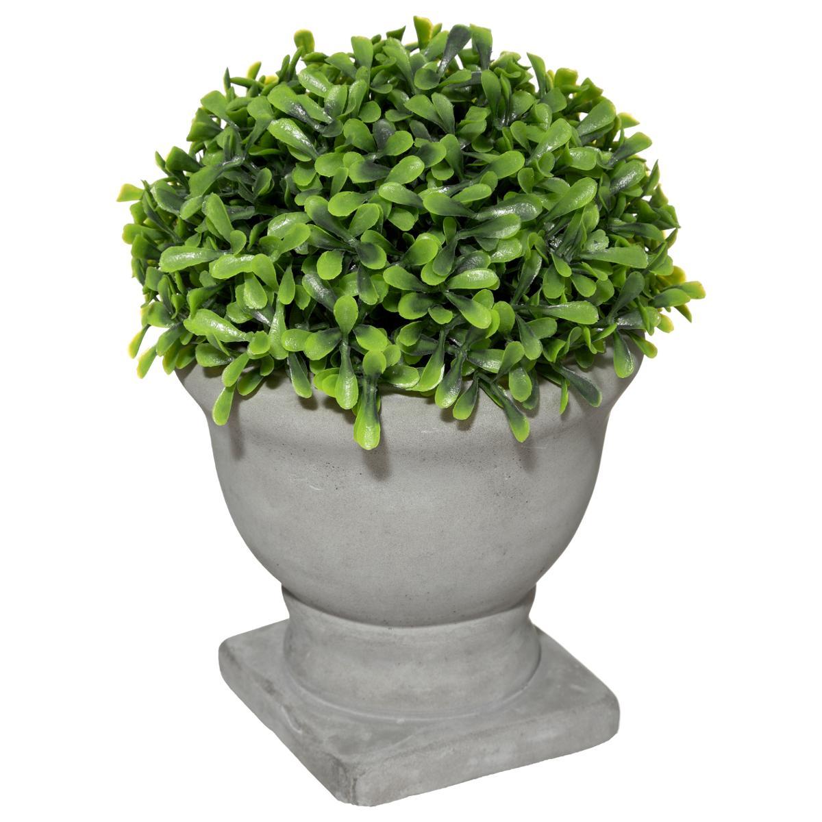 BUIS POT ROMANCE H.16CM