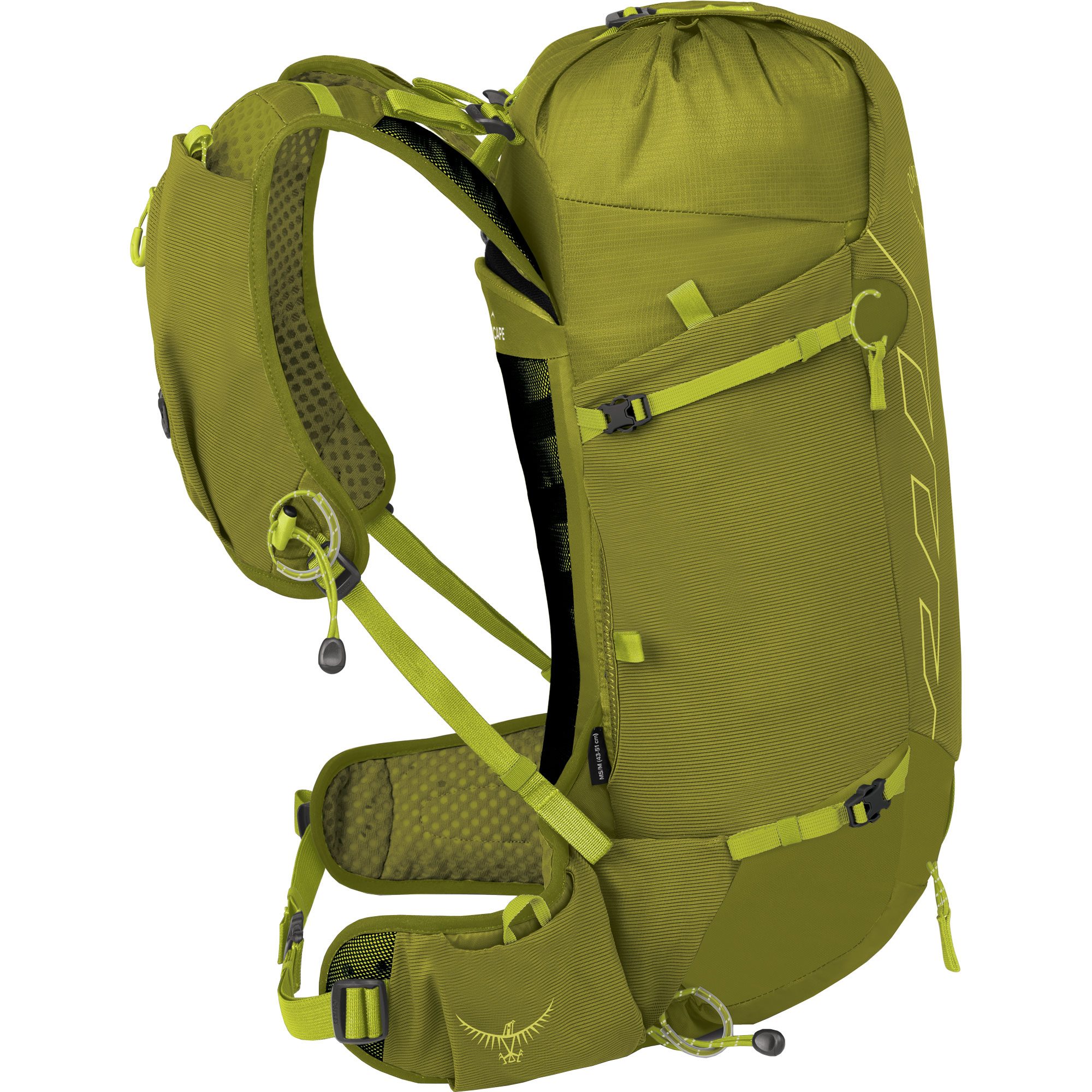 Osprey Talon™ Velocity 20l Rucksack matcha green