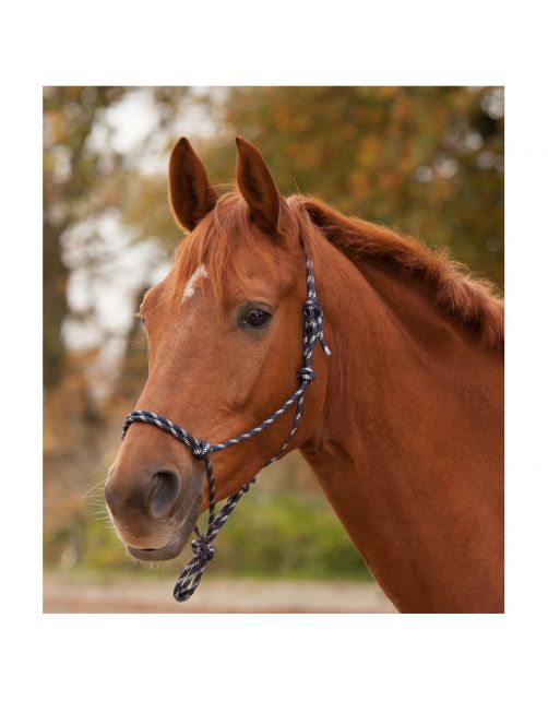 Waldhausen Knoophalster Zwart&Wit - Paardenhalster