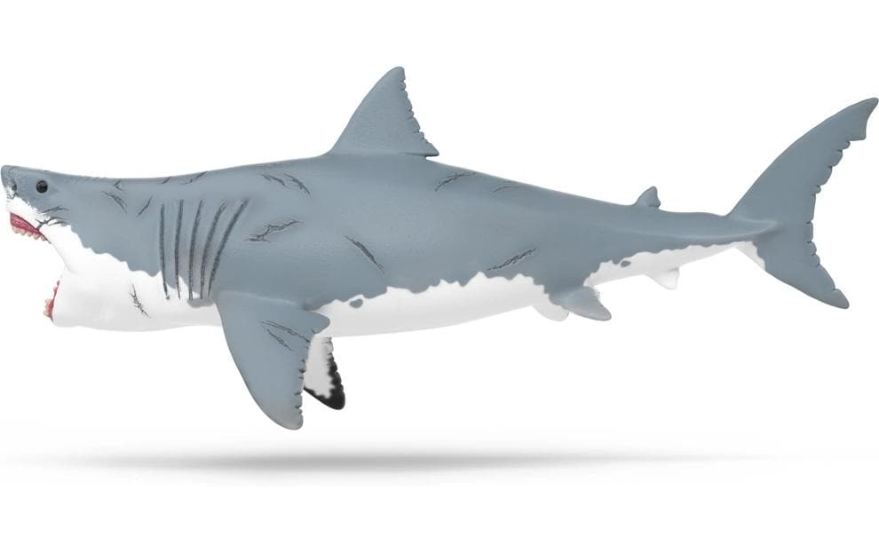 MegalodonDinosaurus