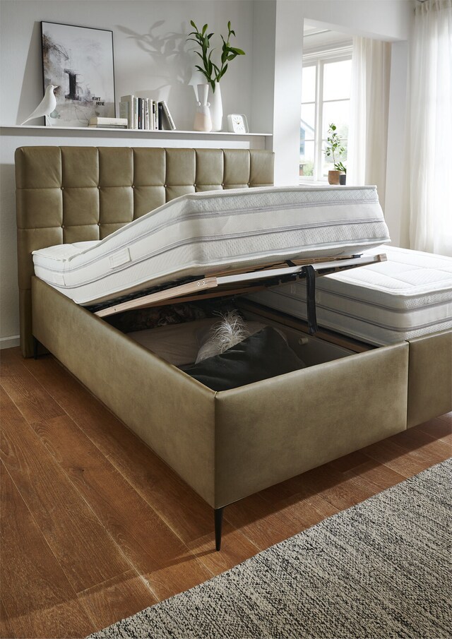 SYSTEMPOLSTER Polsterbett ALESSANDIRA 180 x 200 cm braun
