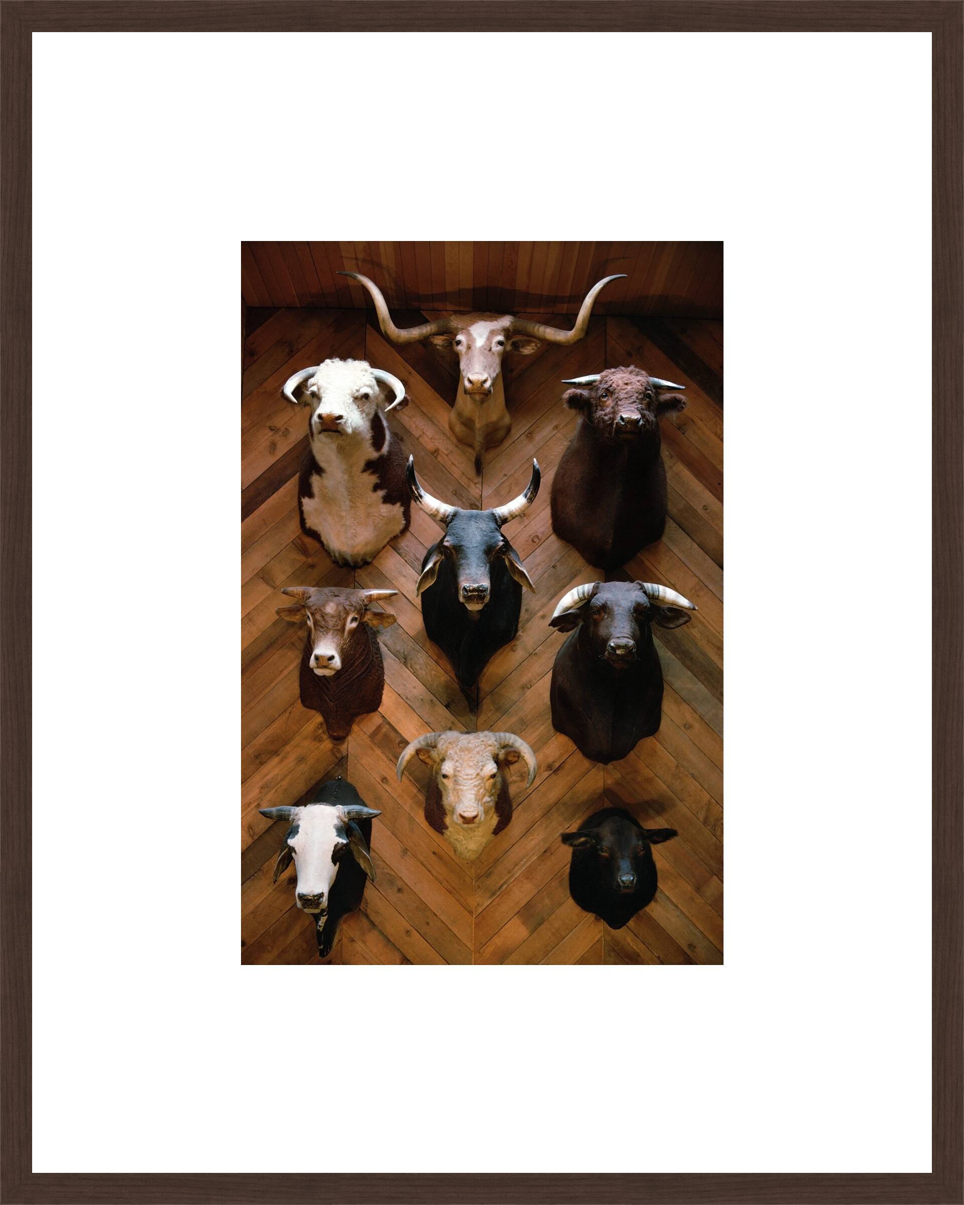 Texas, USA, 1975 by Robert Lebeck - Limited Edition. Edition of: 100. Signed.
