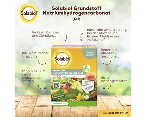 Basis ingrediënt natriumbicarbonaat Solabiol plantenversterker 350 g tot 100 L spuitoplossing