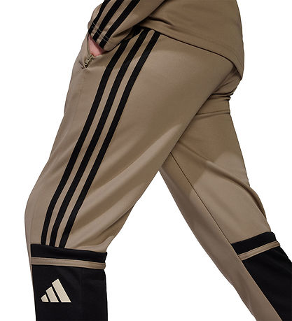 adidas Performance Hosen - Tr PNT T - Schwarz/Schwarz/Warvan