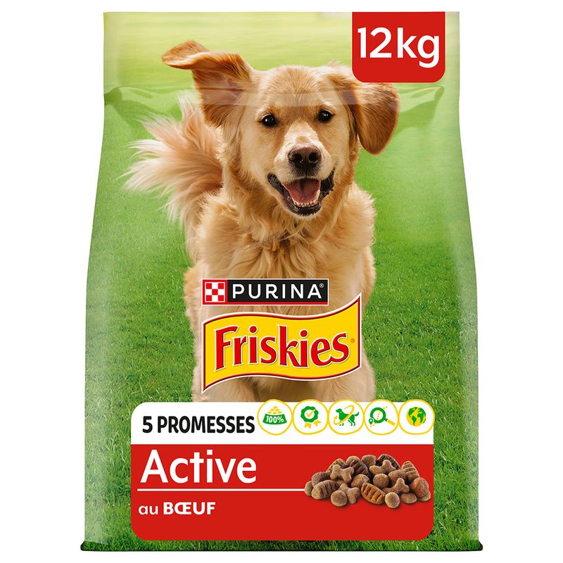 PURINA Friskies Adult Active bœuf