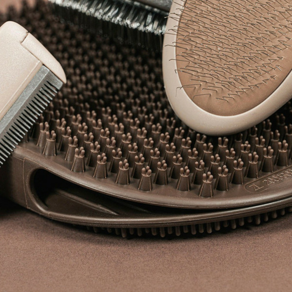 Brosse pour carder oblongue