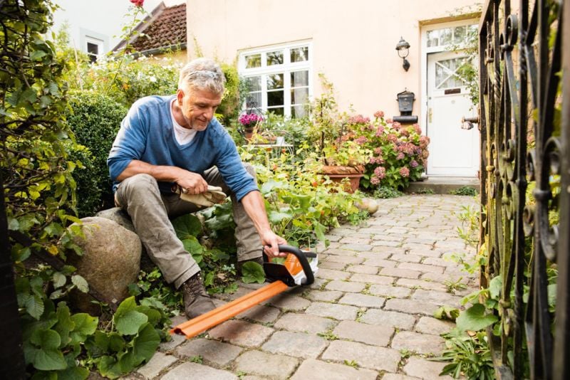 STIHL HSA 45 ( incl. accu en lader ) - Accu-heggenschaar - 50 cm