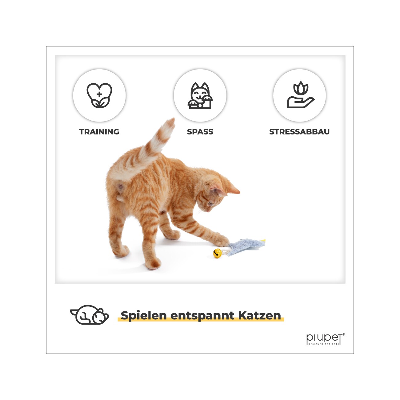 PIUPET Katzenspielzeug