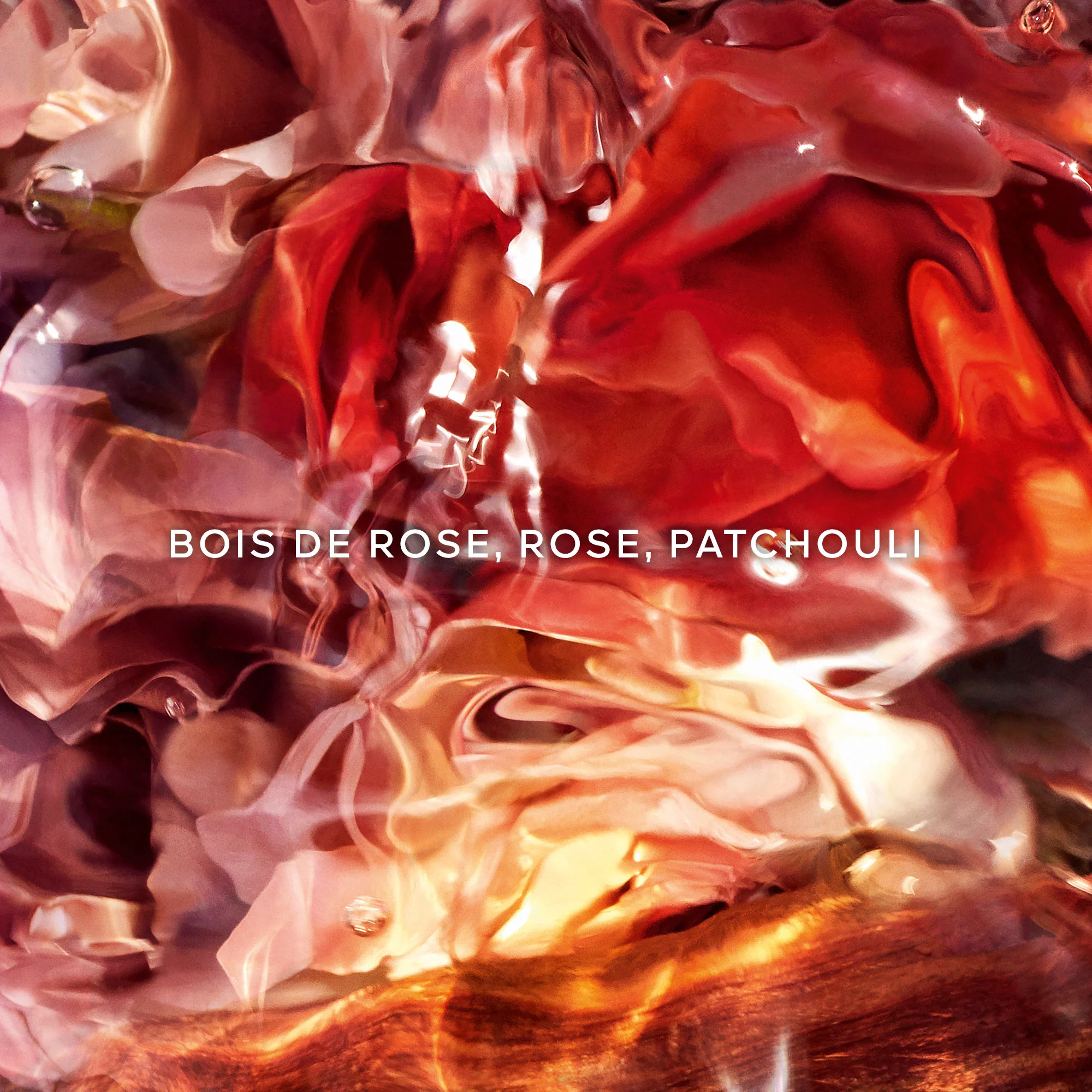 AQUA ALLEGORIA FORTE Rosa Palissandro - Recharge Eau de Parfum |