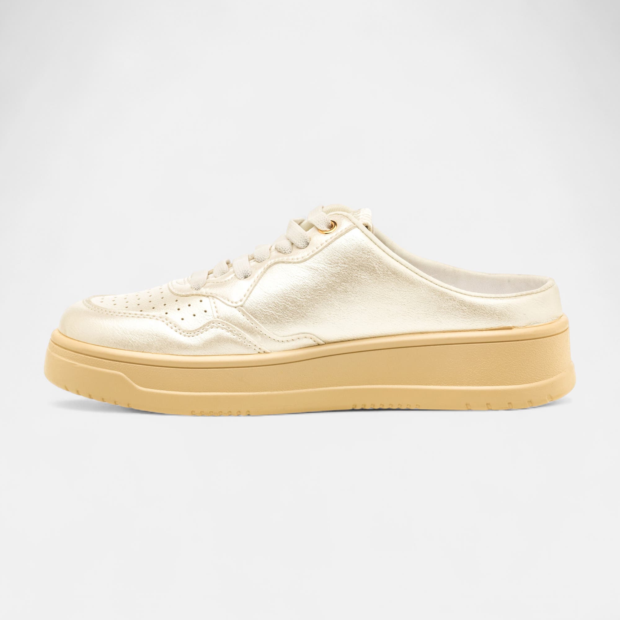 Baskets basses Femme blanc