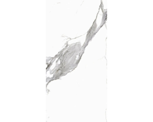 Porseleinen wand- en vloertegel Calacatta 119,7 x 59,7 x 0,8 cm wit gepolijst gerectificeerd