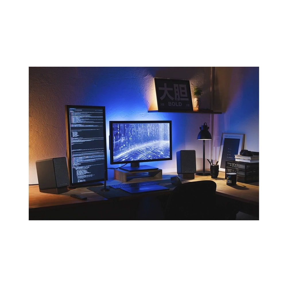 Onkyo GX-30 aktiver Lautsprecher schwarz