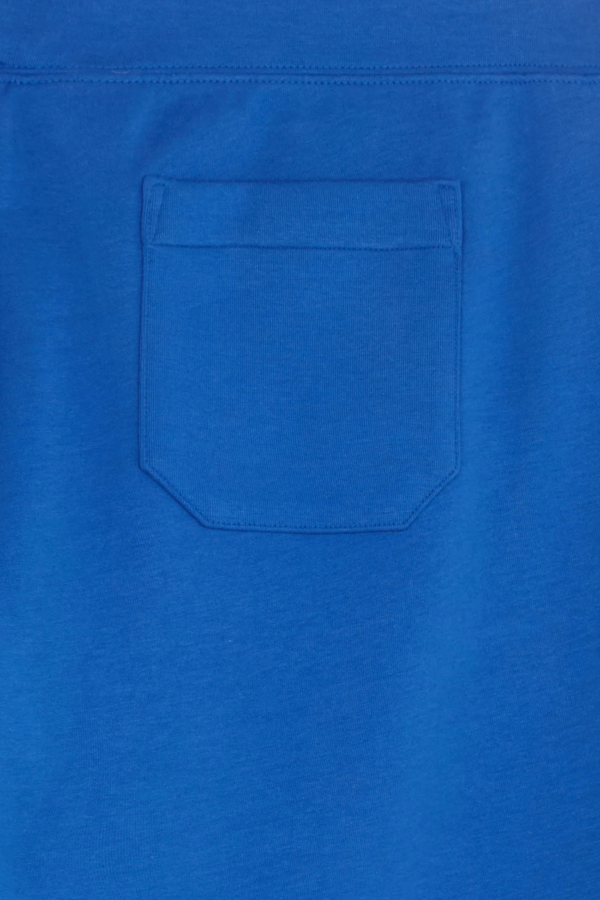 POLO RALPH LAUREN Jogging DOUBLE KNIT  Bleu