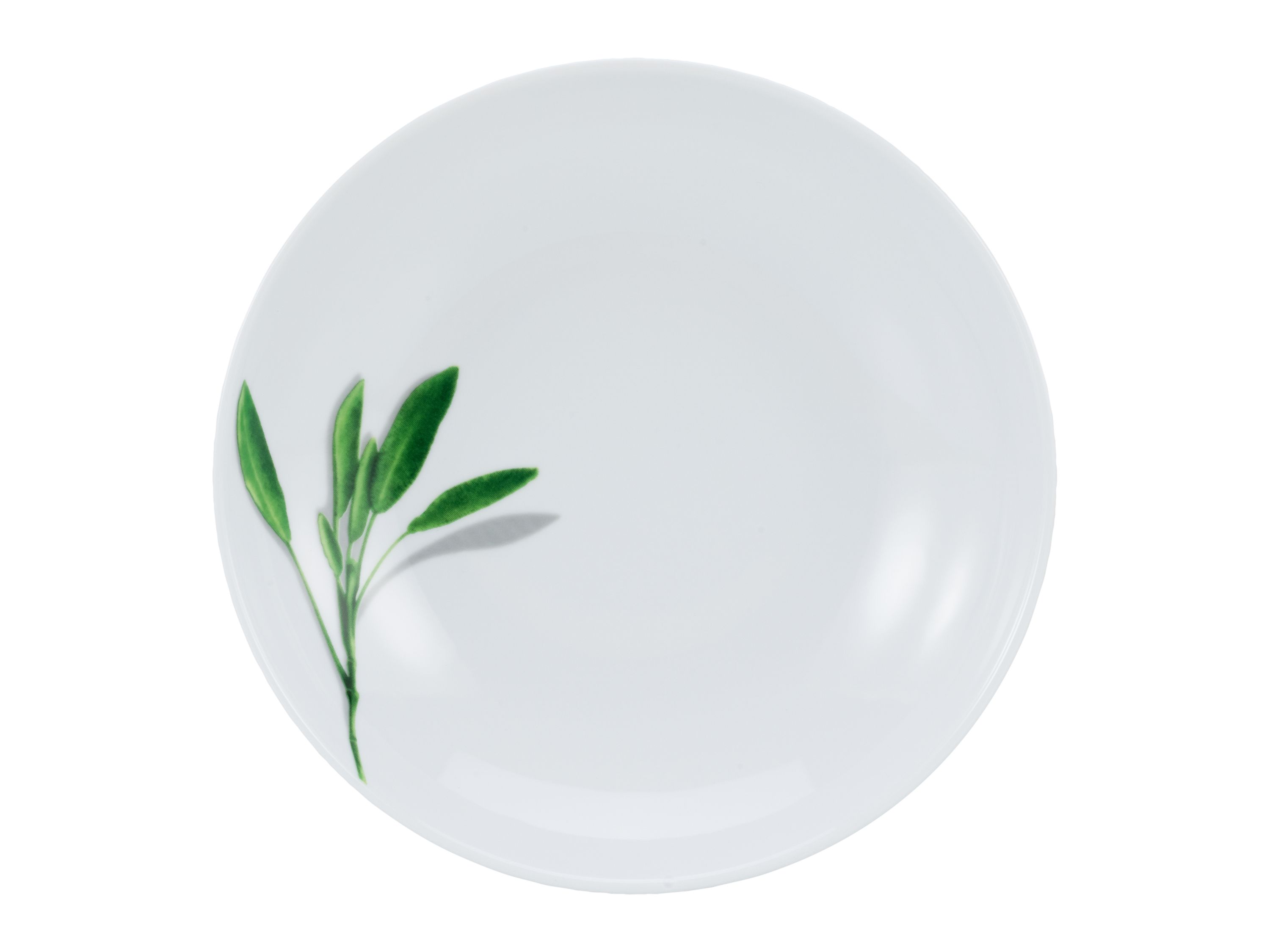 Pastateller SALBEI