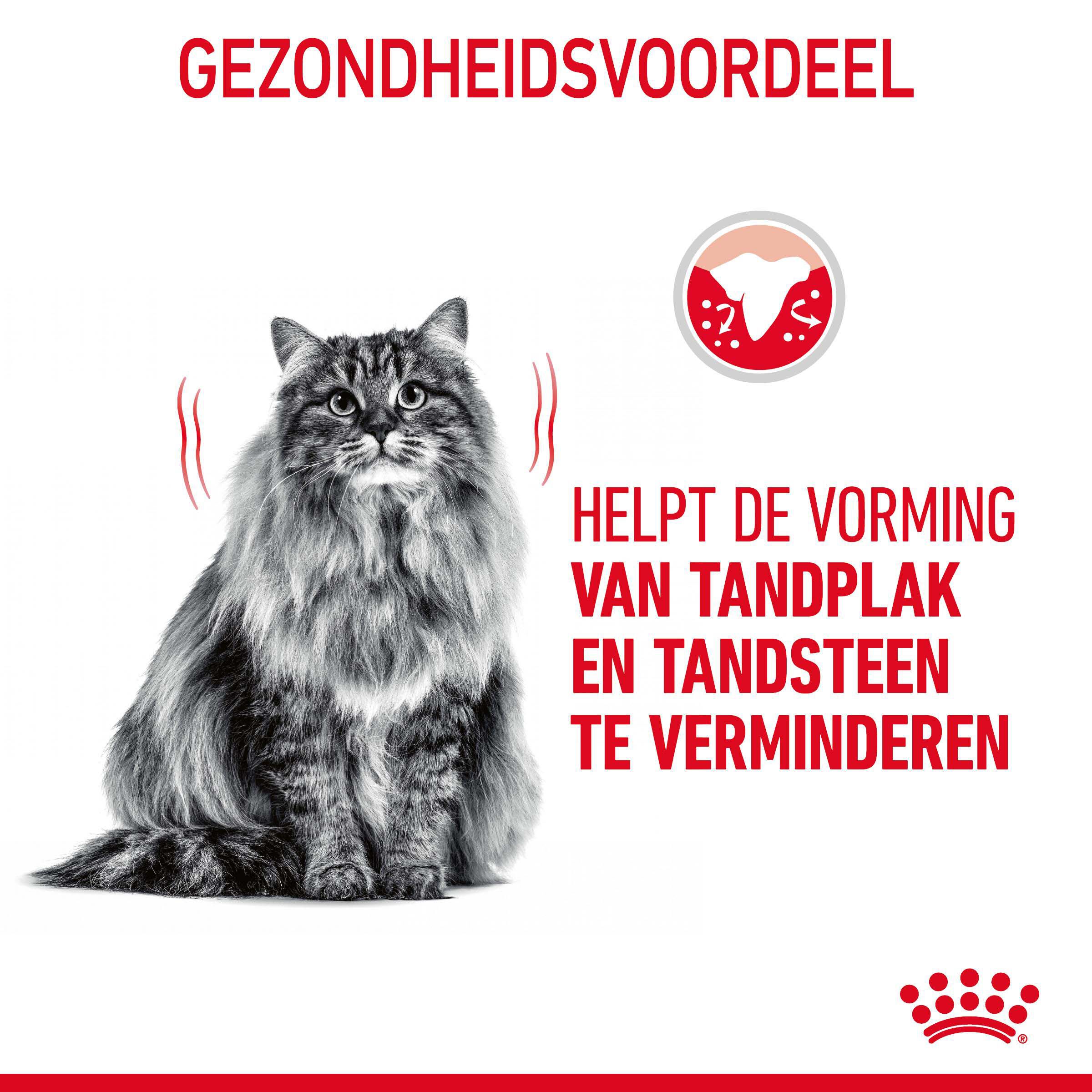 Royal Canin Dental Care - Kattenvoer - 3500 Gram - Gevogelte