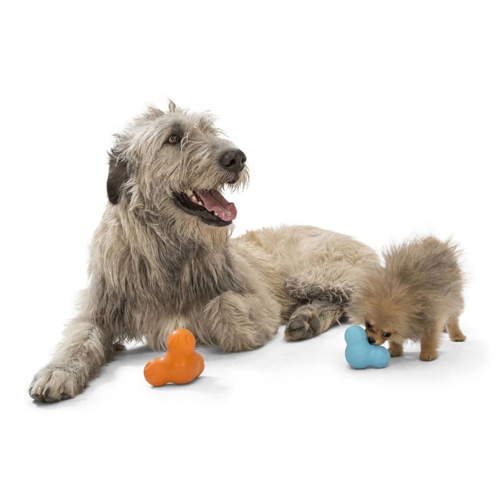 Jouet pour chiens avec zogoflex tux aqua bleu s
