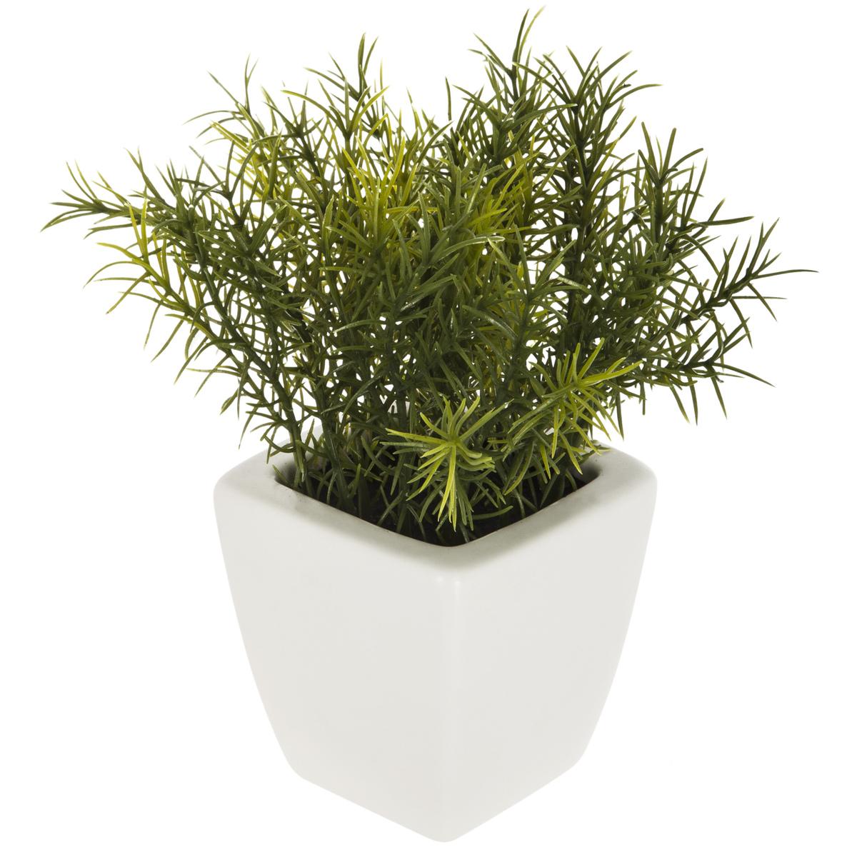 HERBE POT CERAMIQUE OKO BLANC H.15CM