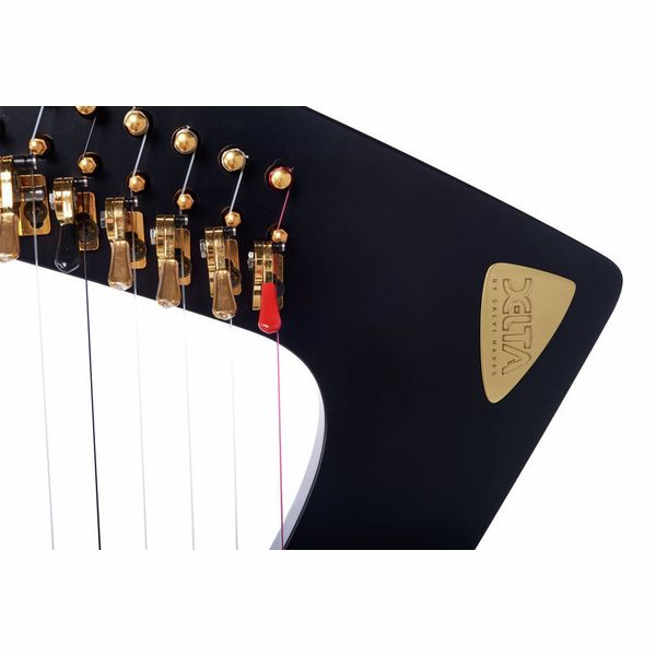 Salvi Delta Electric Harp