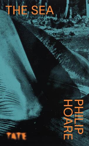 Look Again: The Sea - Look Again (Paperback)