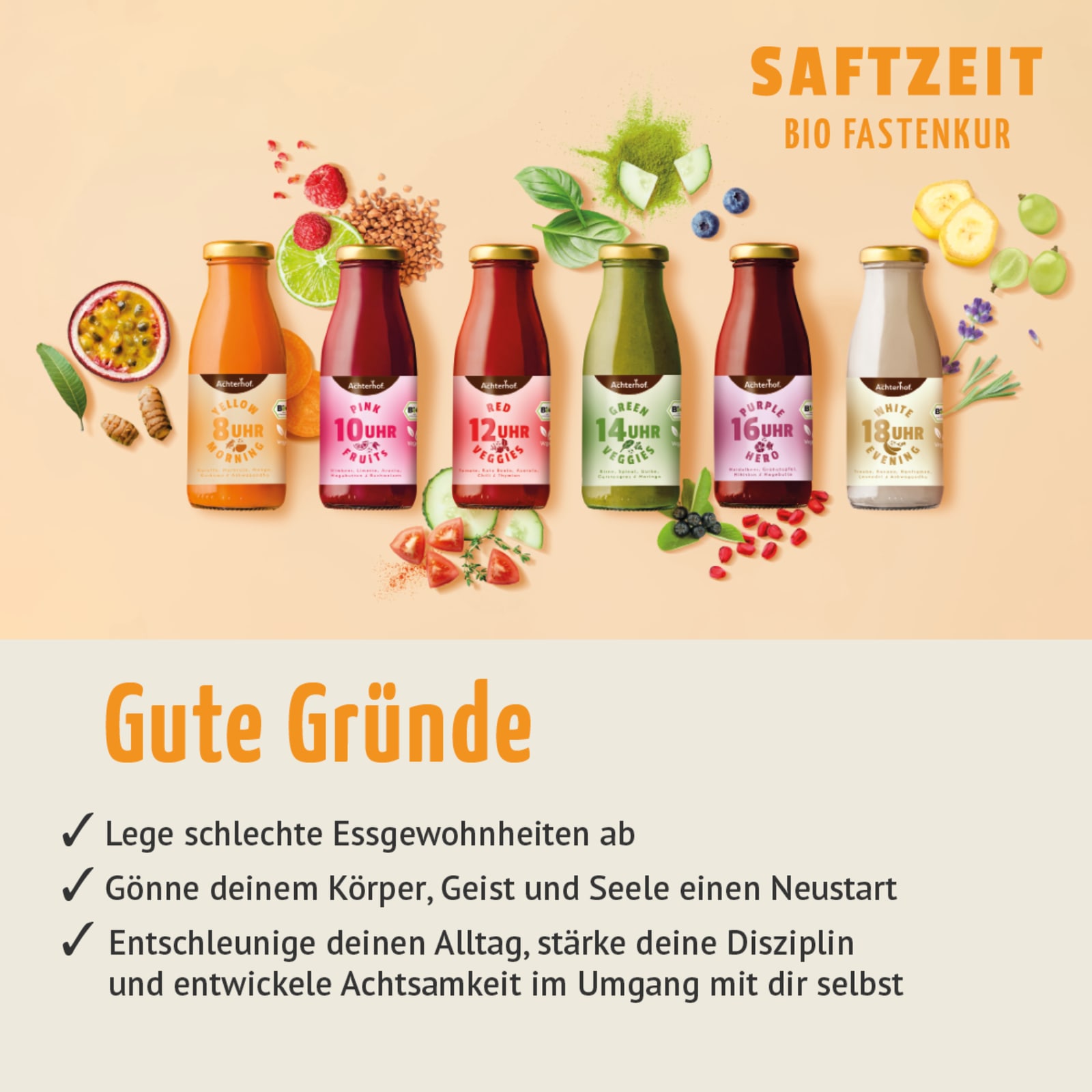 Saftzeit Fastenpaket Starter