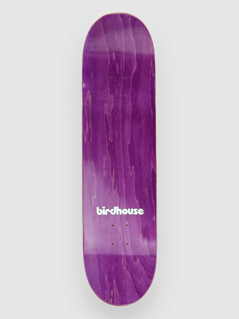 Birdhouse Sloan Reaper 8.5