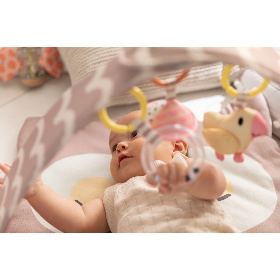 Hape Spielbogen Eule Sina