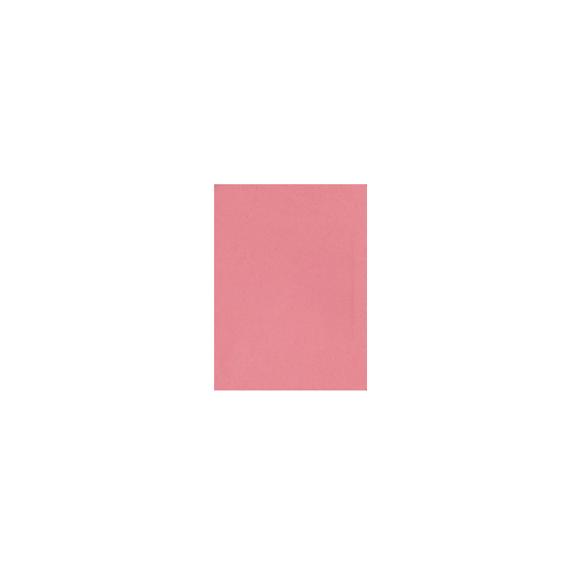 Ben Nye - RDR - Studio Palette Dry Rouge - PUDER REFILL, 3g