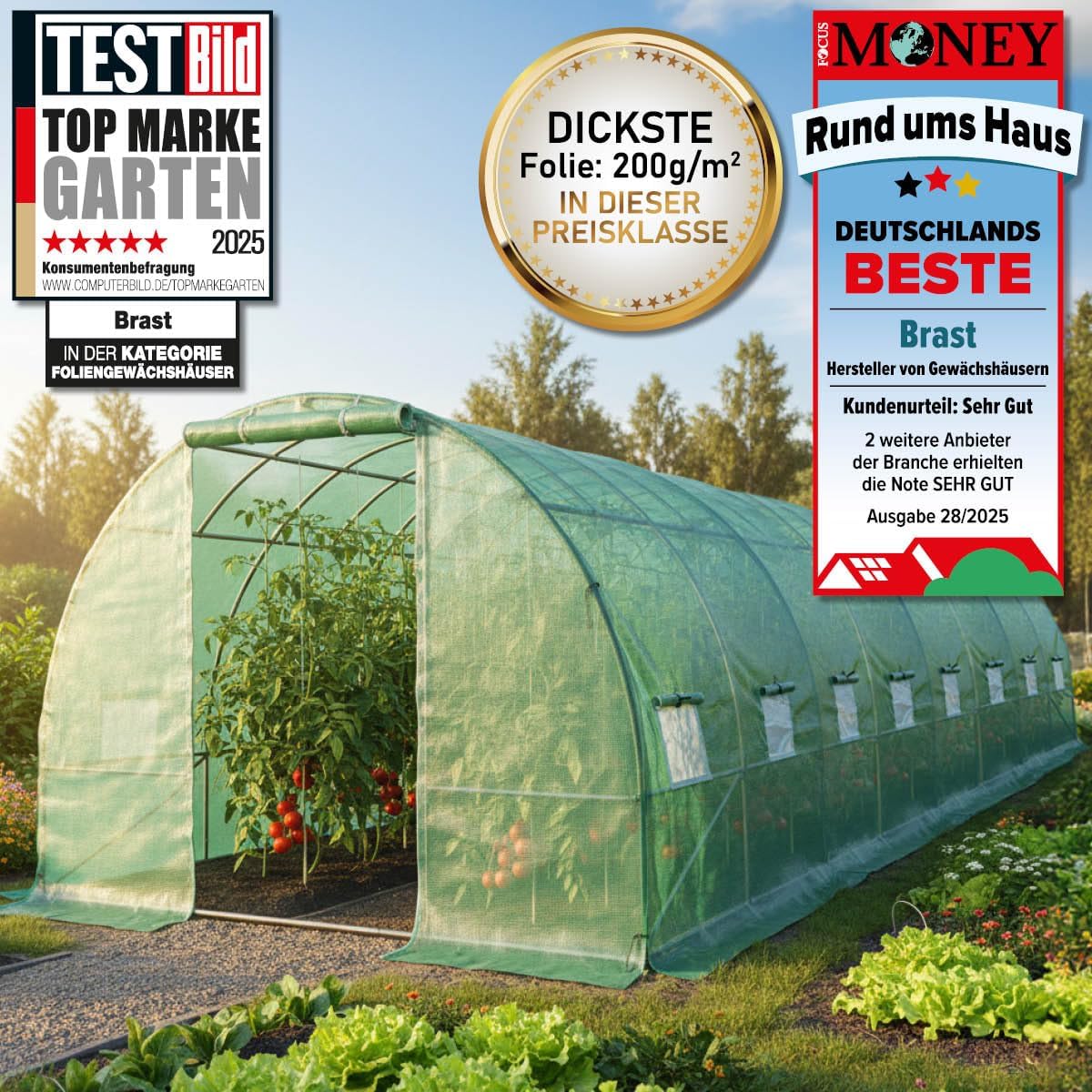 BRAST Gewächshaus Foliengewächshaus mit Stahlfundament | 2x3m - 3x8m | inkl. Erdanker Unkrautvlies & 16 Aufrollbare Fenster mit Moskitonetz | UV-stabilisierte Gitterschutzfolie 200g/m² | 300x800cm