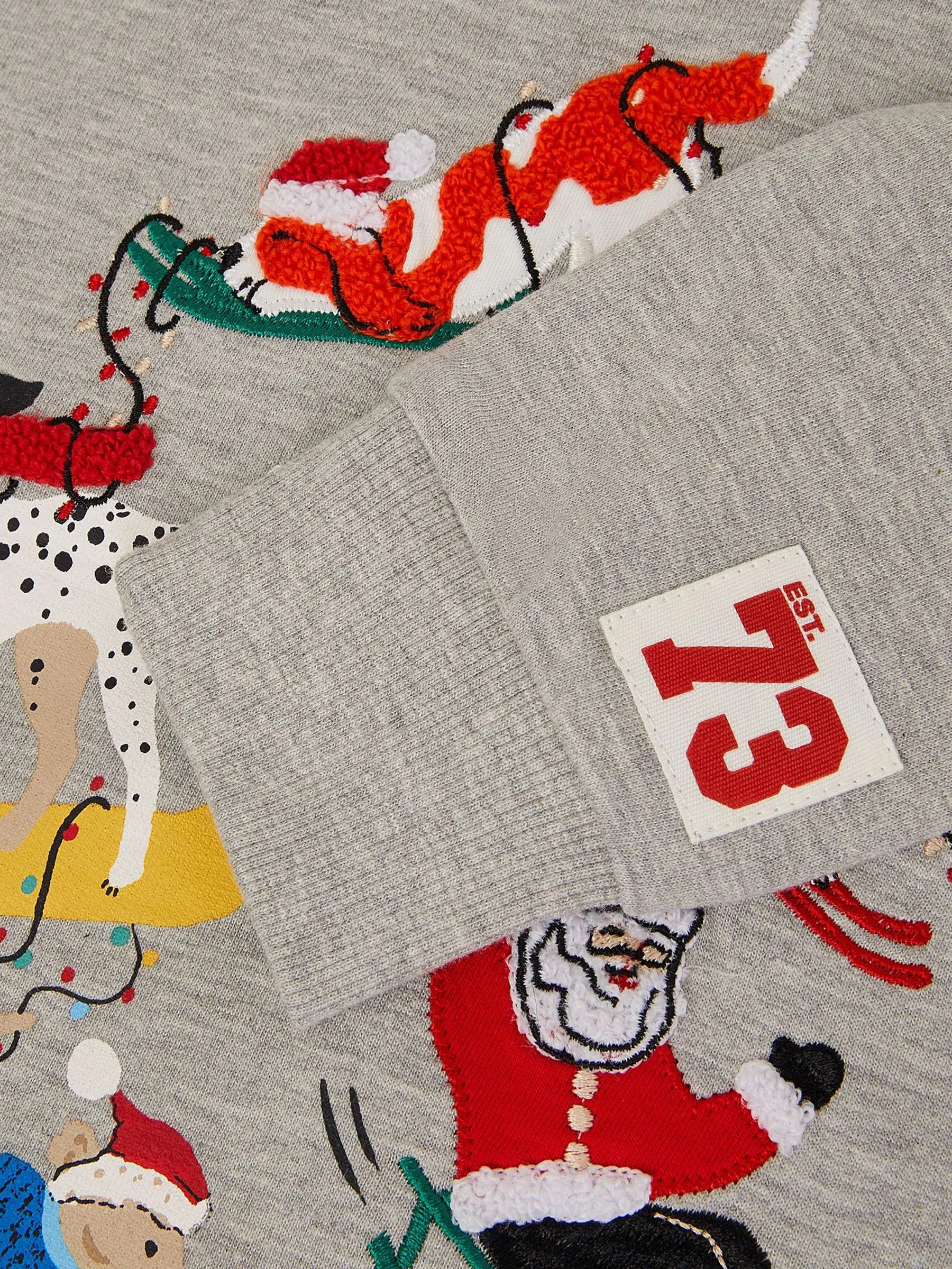 Monsoon Ski Dogs Kerstmis Sweatshirt