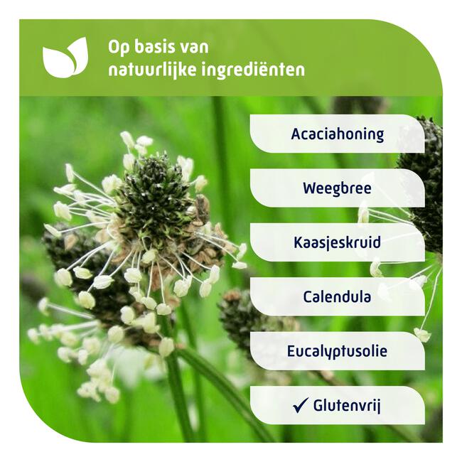 Natterman Voor Alle Hoest 180 ML