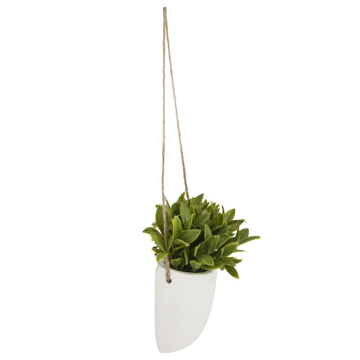 PLANTE MURALE A SUSPENDRE CERAMIQUE H.20CM