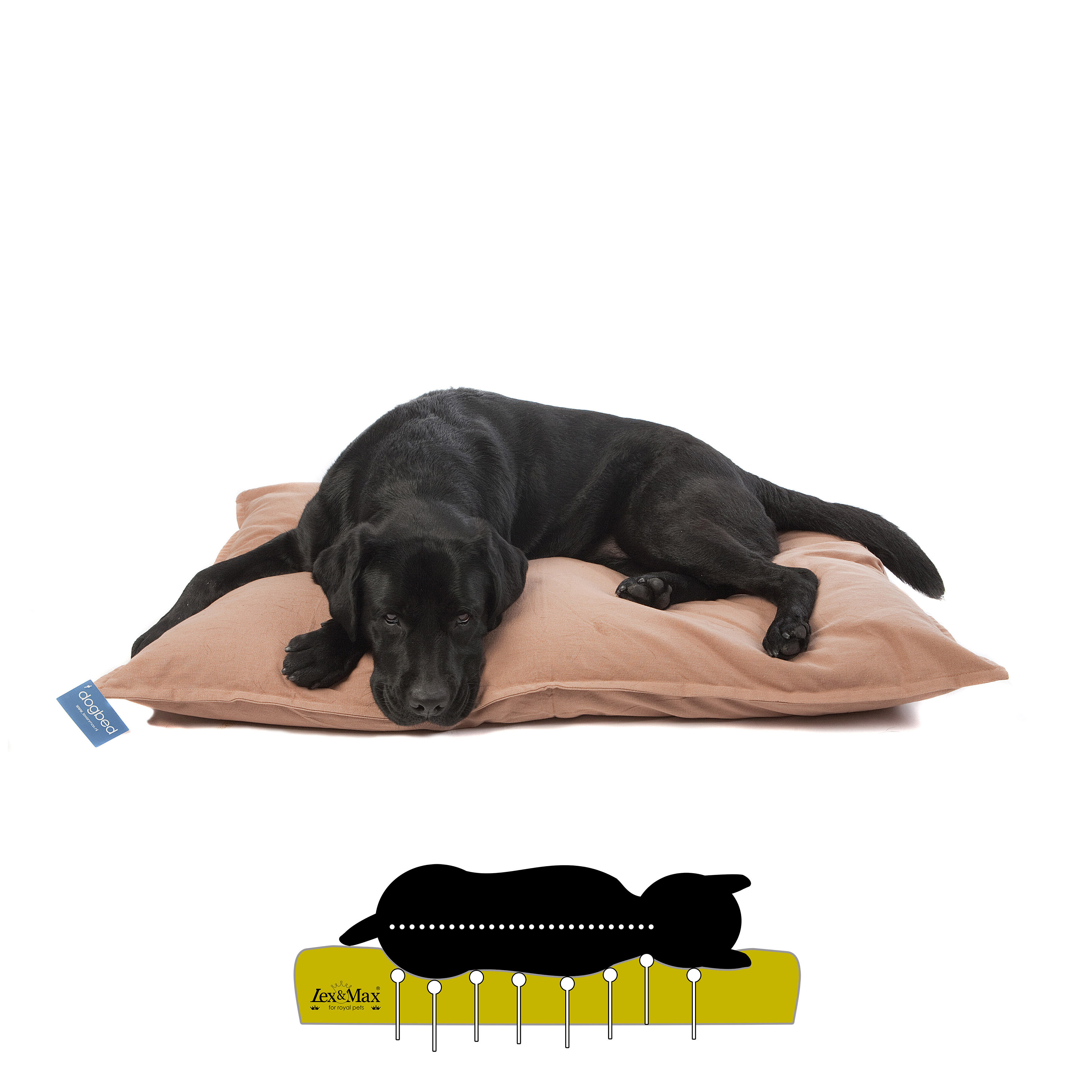 Lex & Max Tivoli - Orthopedisch Hondenkussen - Beige - 70x100x16 cm - L