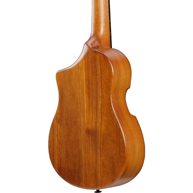 Ibanez AUT10 Open Pore Natural tenor ukelele met gigbag