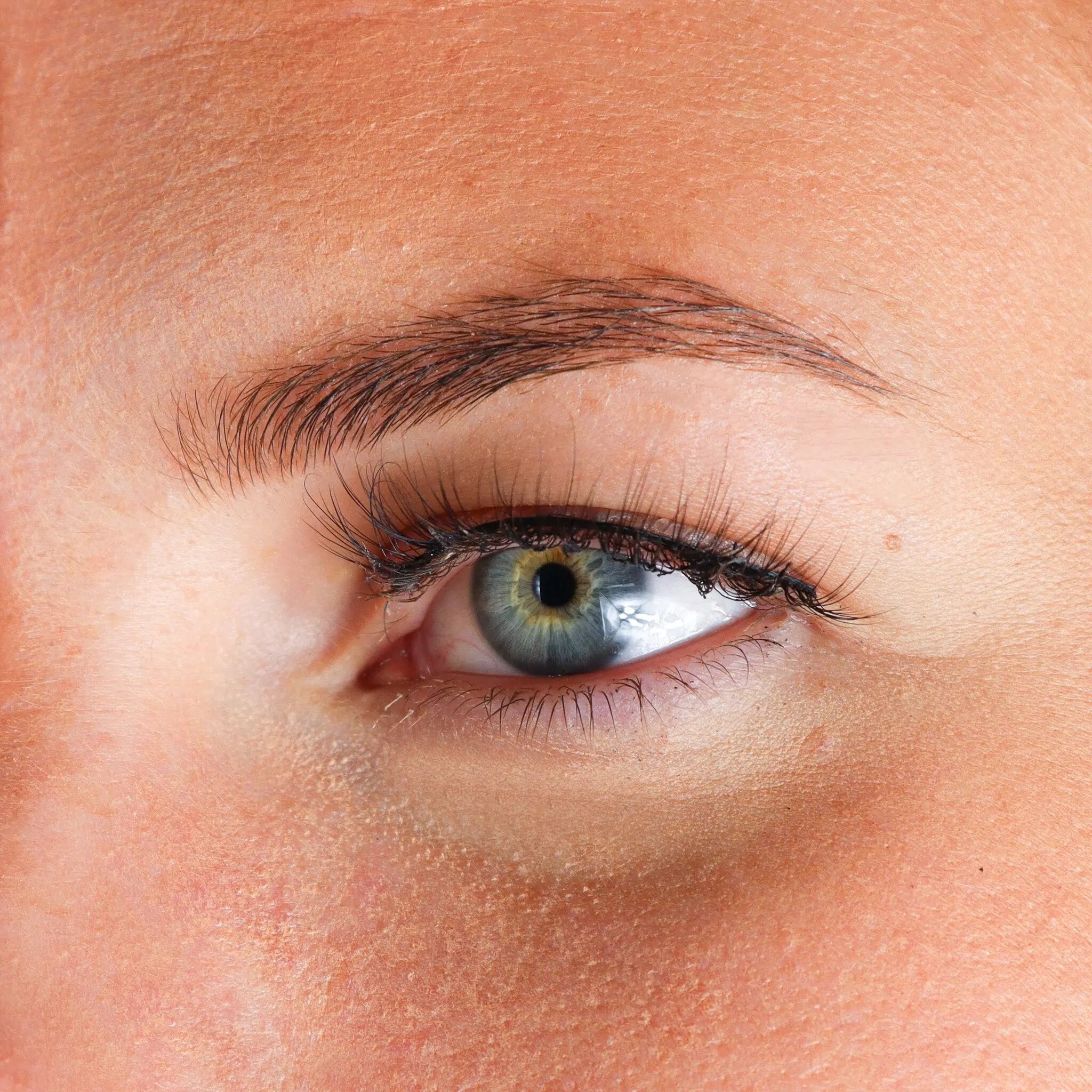 4D Silk Lashes Ruby