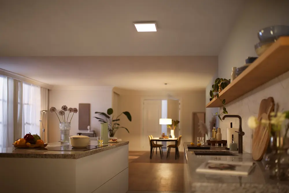 PHILIPS Loftlampe panel Scene 30x30cm 12W - hvid