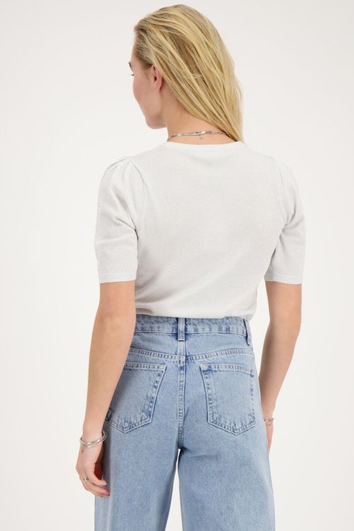 Zilverkleurige lurex top met korte mouwen
