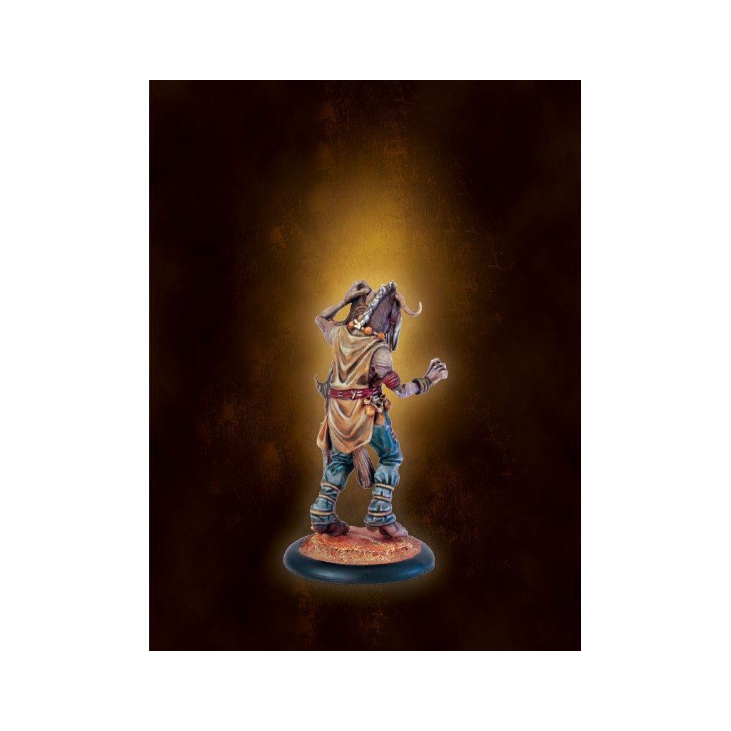 Khârn-Âges : Shaman