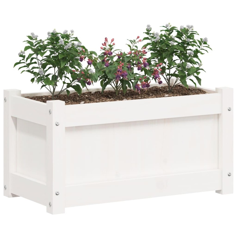Jardinières 2 pcs blanc bois de pin massif