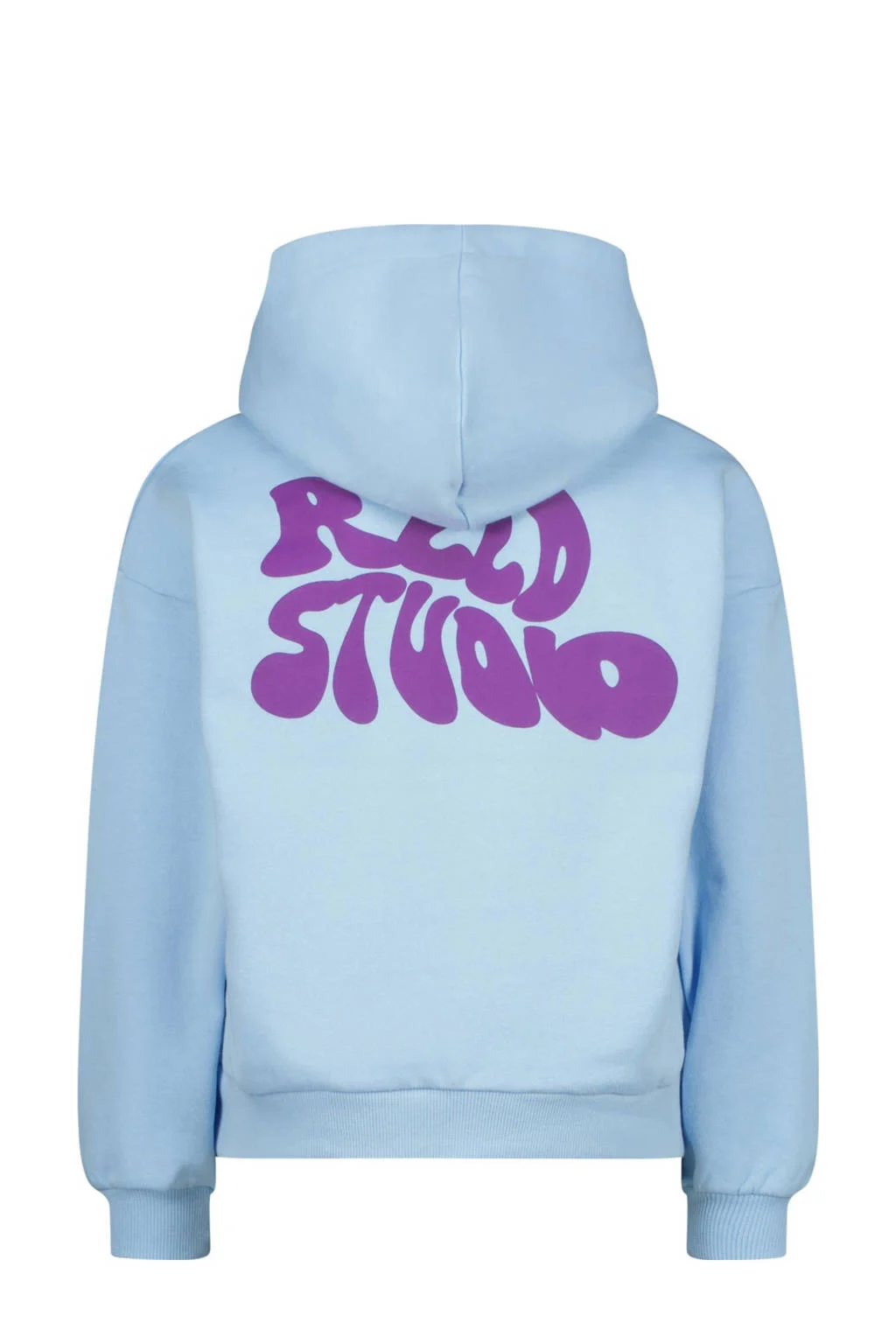 Raizzed hoodie lichtblauw