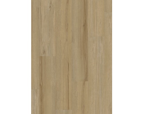 Campeon vinylvloer, landhuisstijl plank, klikverbinding, 1220 x 180 x 4,2 mm